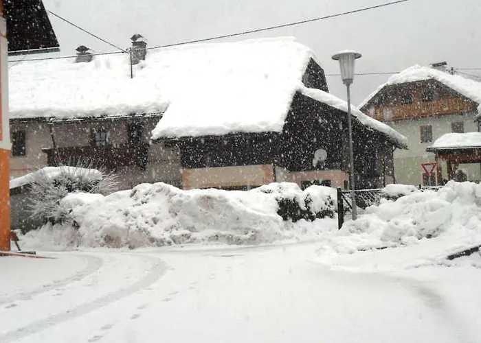 公寓 La Perla Della Drava